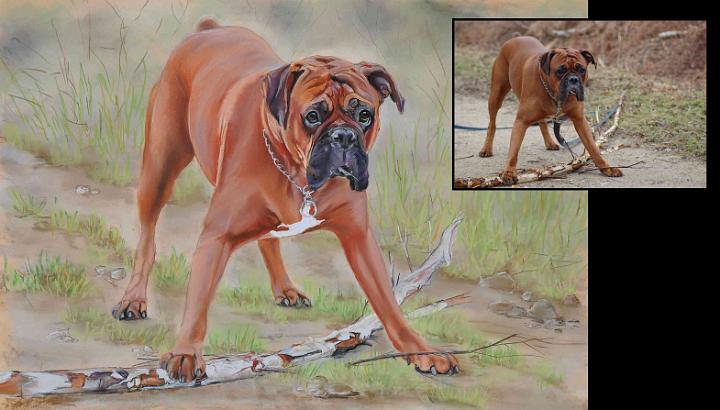 Portrait Markus-en-balade.jpg - Pastel format /size 70 x 50